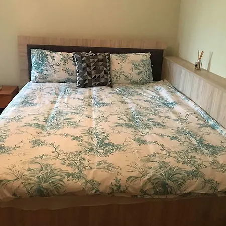 Homestay szállás Casa Alibec *